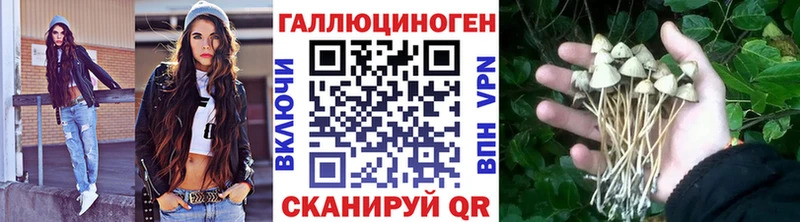Псилоцибиновые грибы прущие грибы  цена   Рассказово 