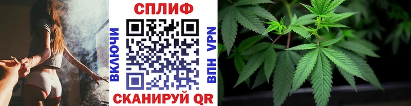 Конопля Amnesia Рассказово